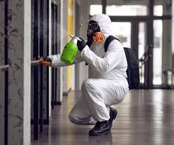 Best Mold Remediation for Healthcare Facilities  in Silsbee, TX